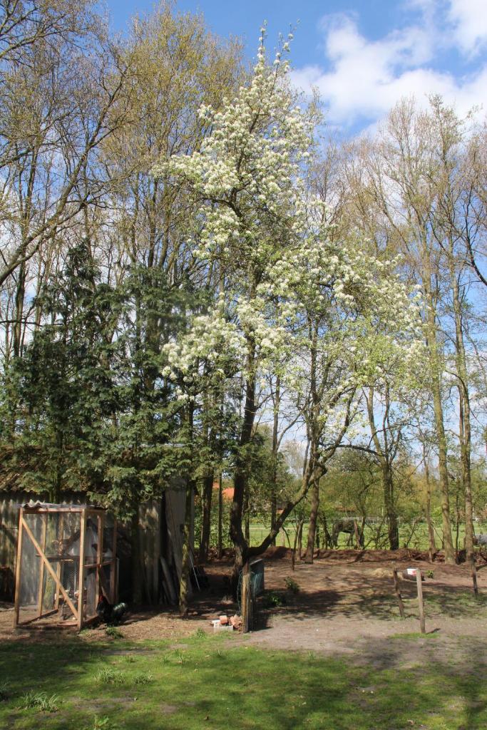 B&B In de Backerije photo 4