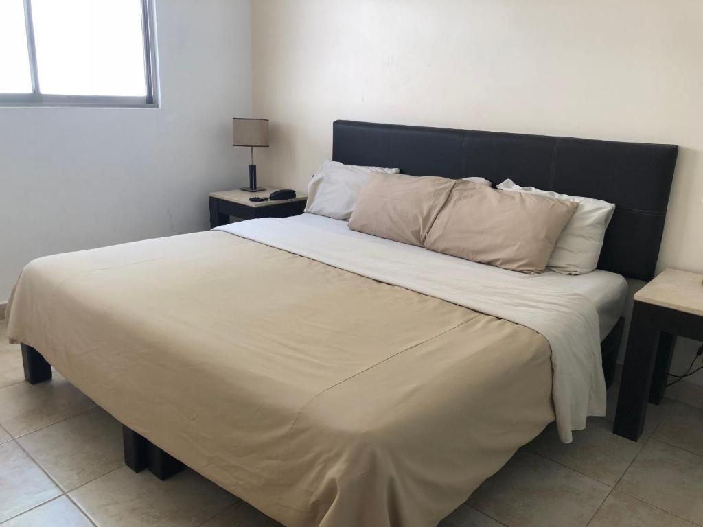 Suites Real Tabasco photo 2