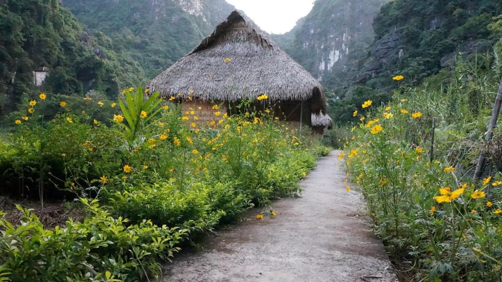 Ninh Binh Valley Homestay