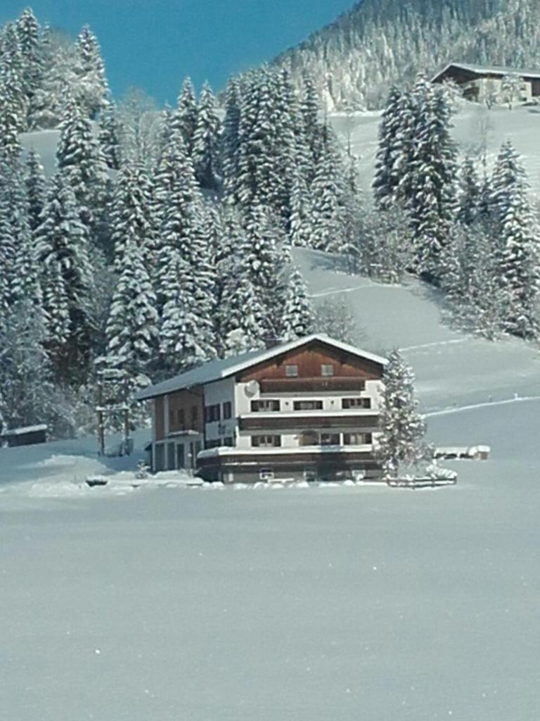 Moosgut photo 3