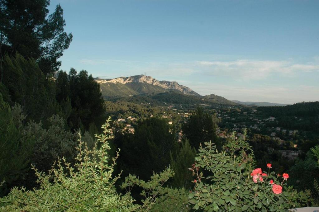 Villa Manon photo 3