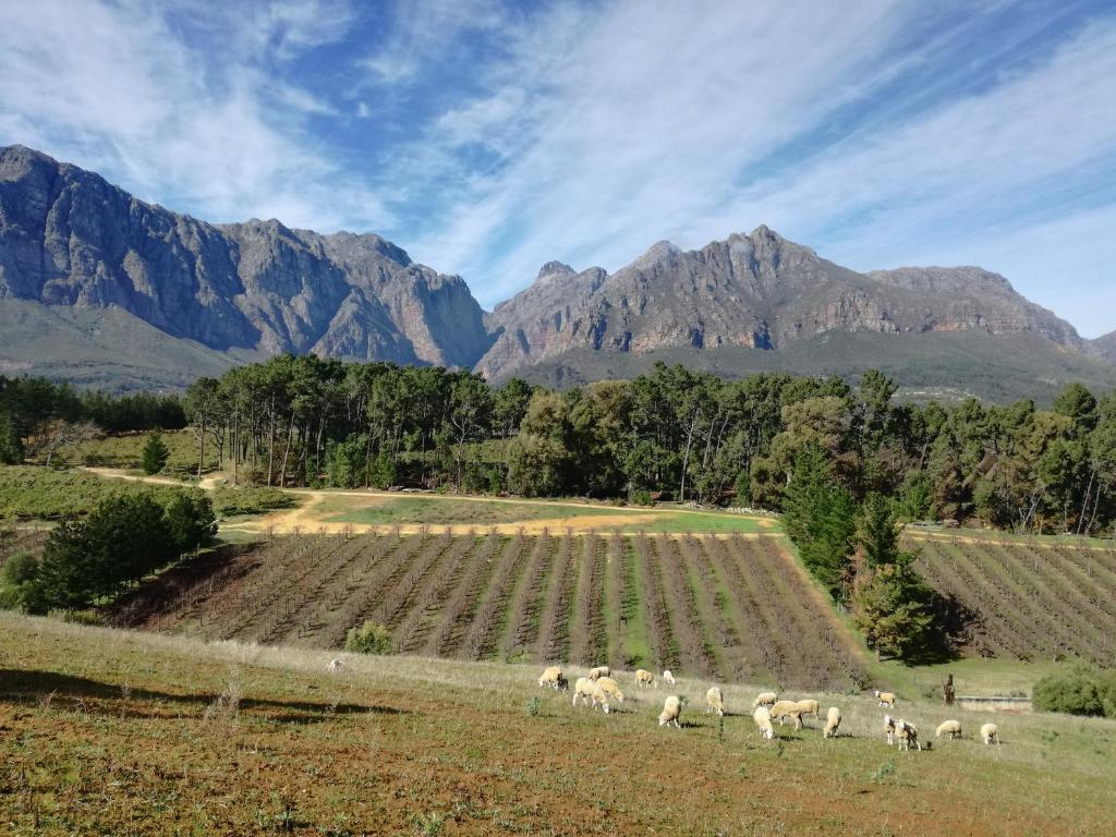 Modderkloof Farm Accommodation photo 4
