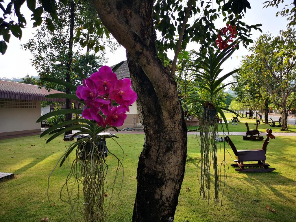 Sophia Resort photo 3