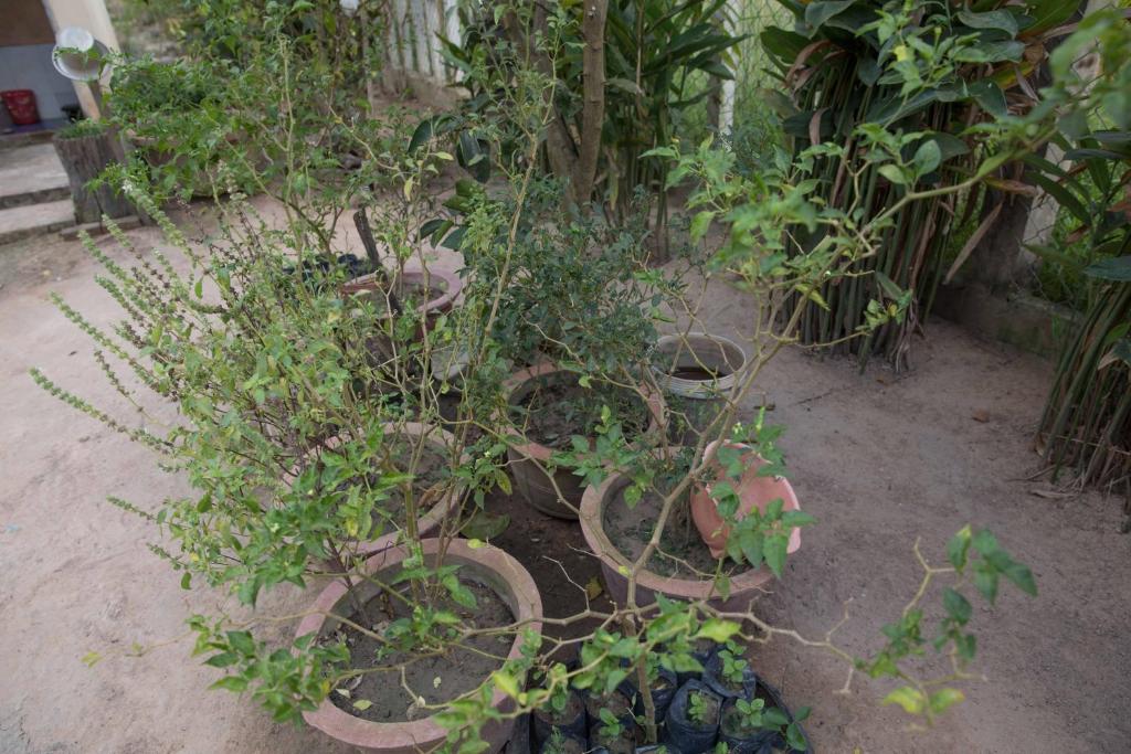 Chansor Community Homestay 5 photo 4