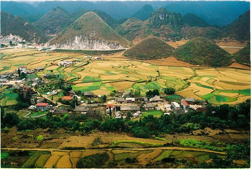 Huyen Tram Guesthouse