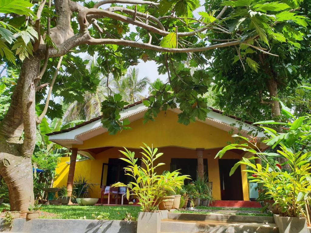 R&N Yellow House