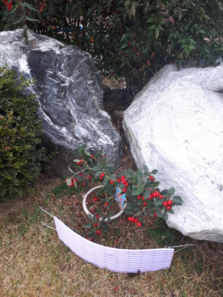 Gyeongju Family Pension photo 3