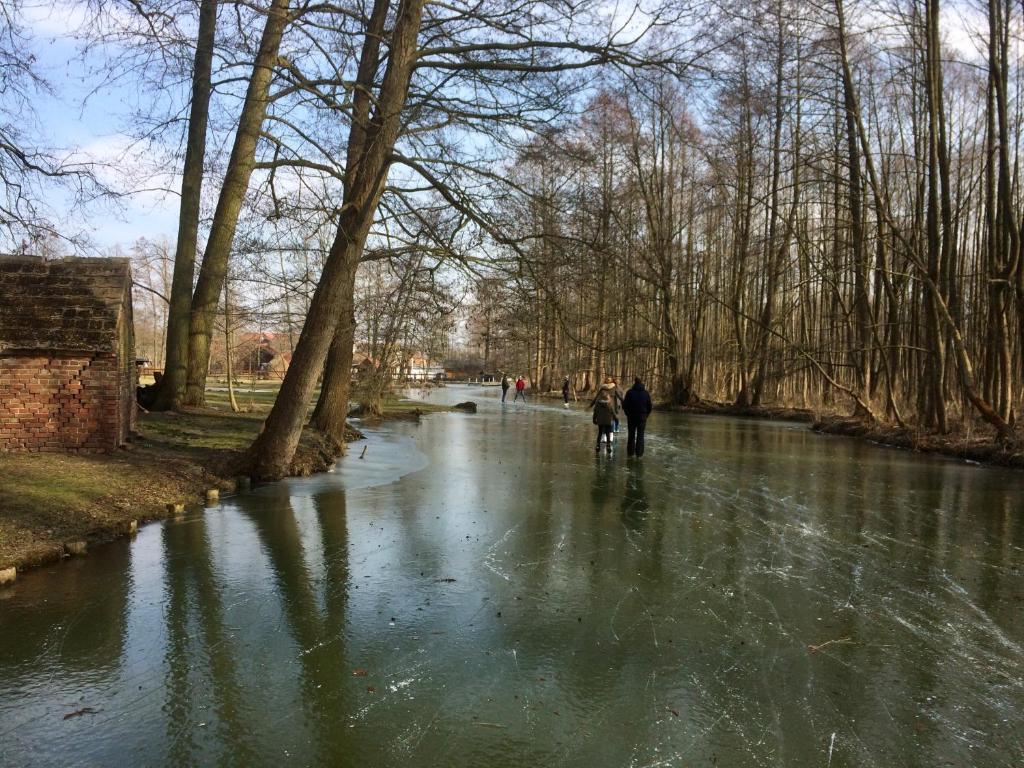 Storchenblick photo 3