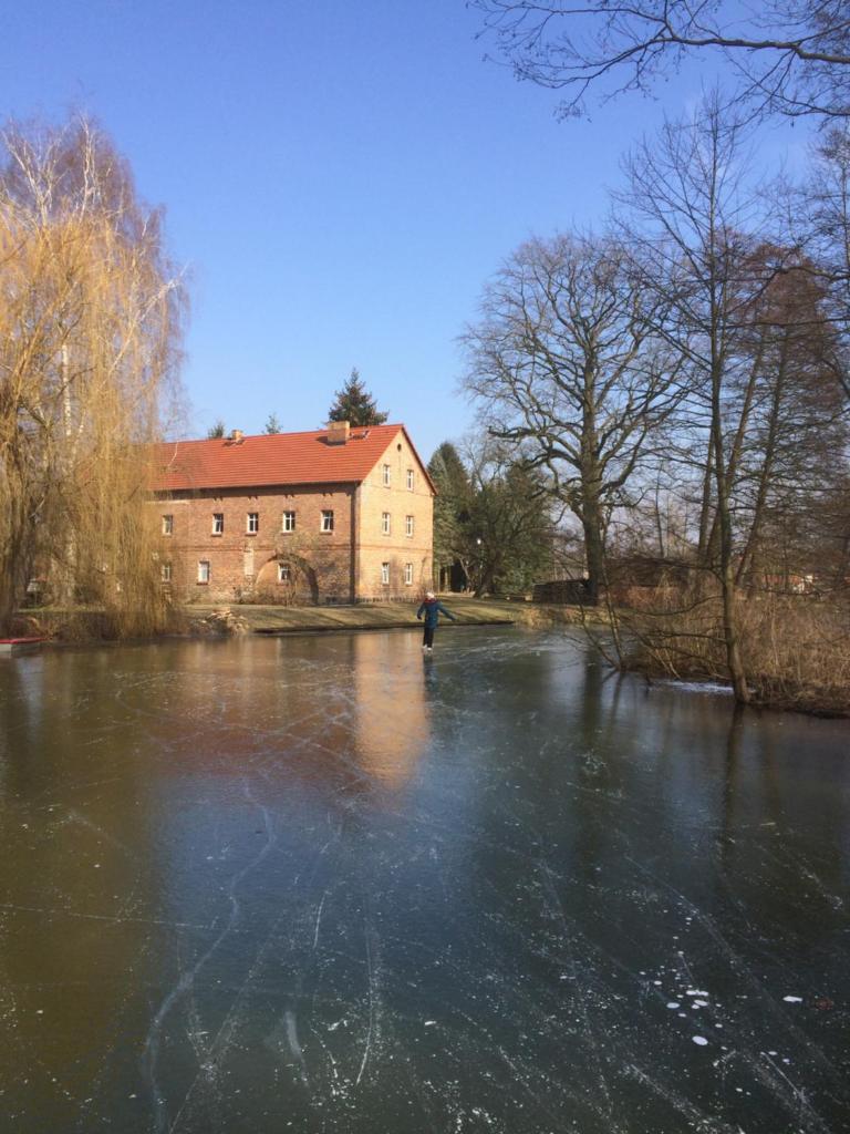 Storchenblick photo 2