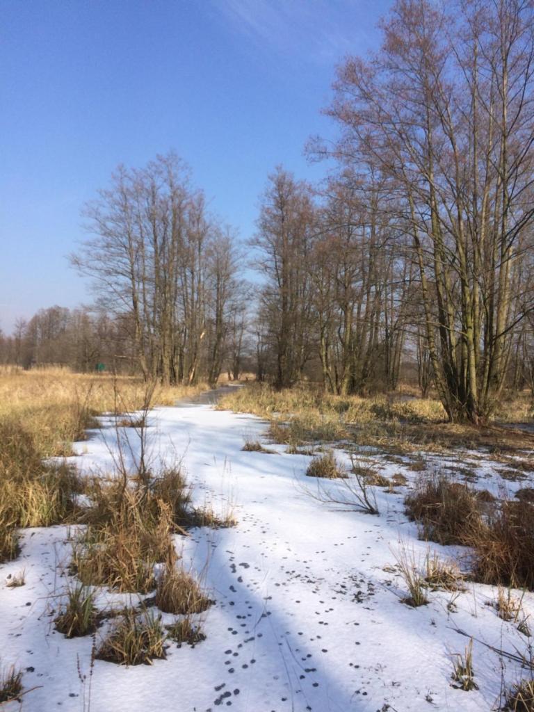 Storchenblick photo 1