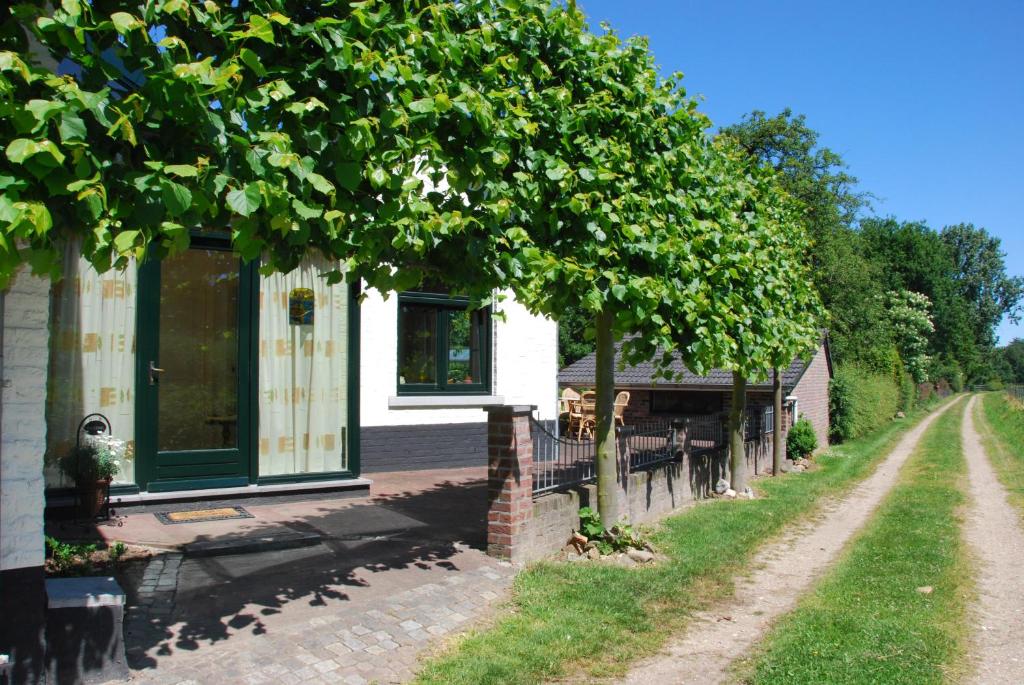 Vakantiewoning De Auw Fotsch photo 3