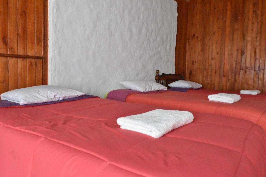 Oasis Paraiso Ecolodge photo 2