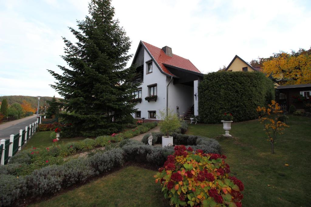 Ferienwohnung"Harzliebe" photo 3