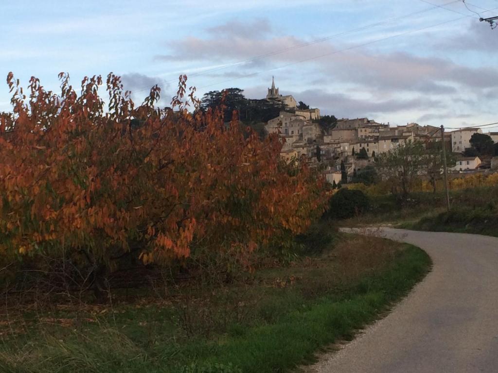 L'Oustaou de Rose photo 2