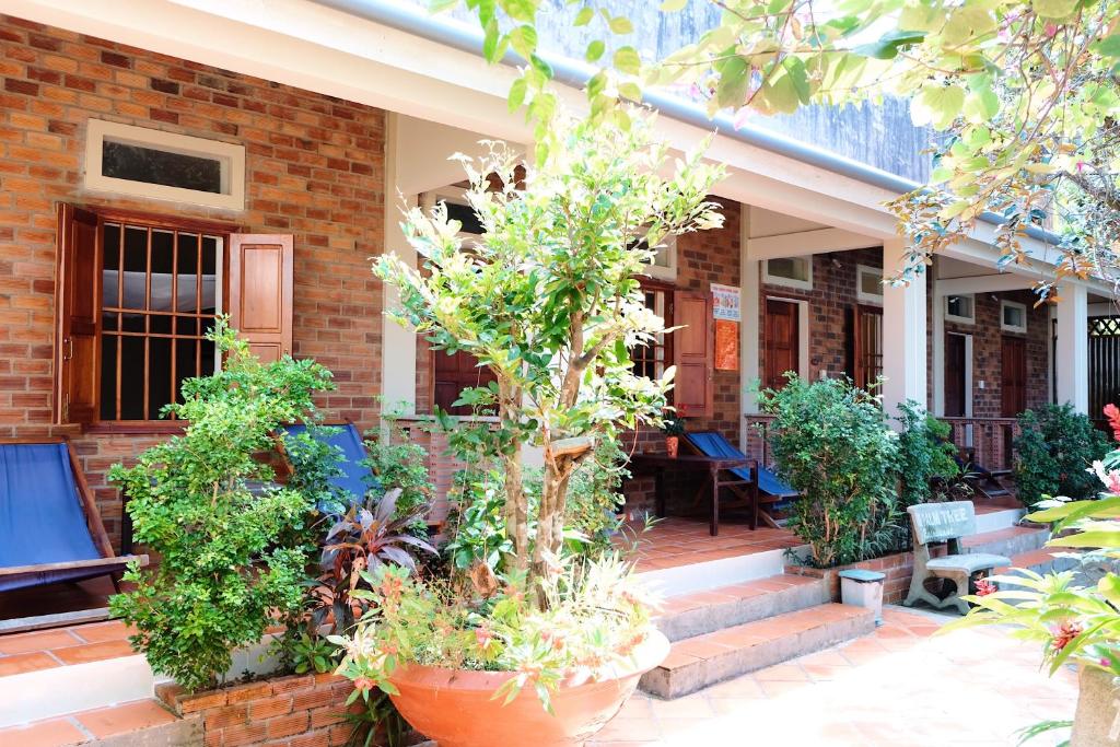 The Palm Tree Guesthouse