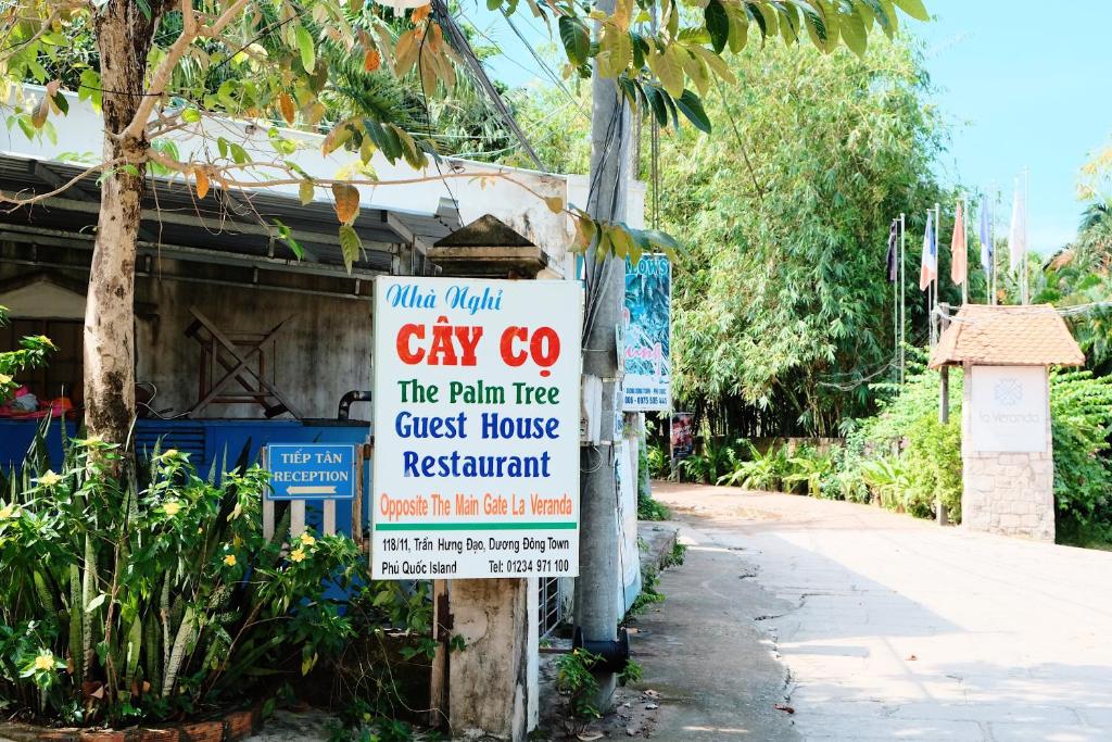 The Palm Tree Guesthouse