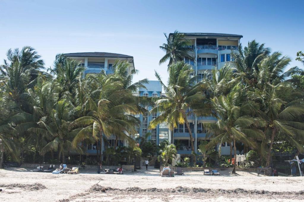 Modern Beach Front Studio Apartment - B44 photo 4