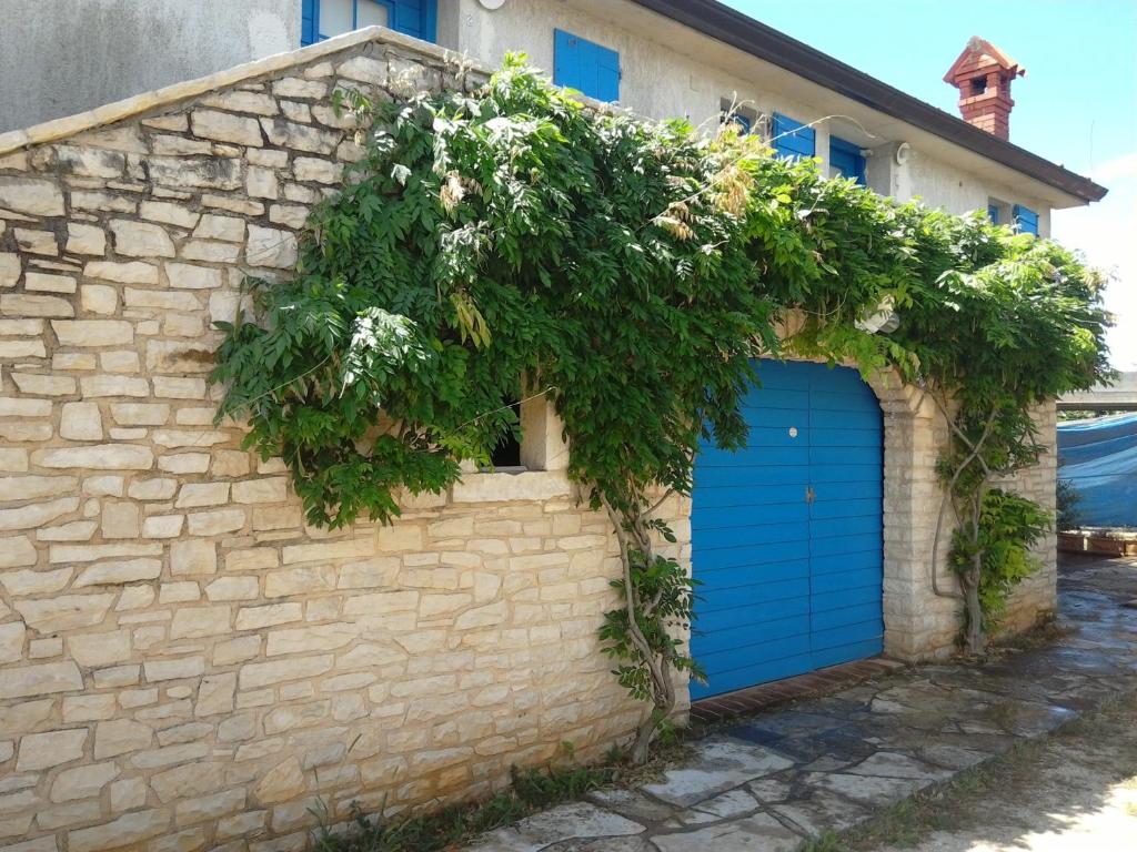 House Ivas with garden photo 4