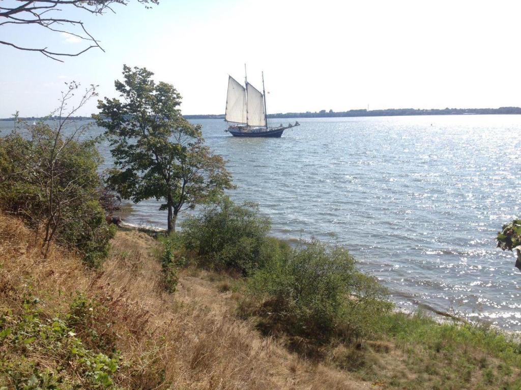 Hausboot Dänholm photo 1