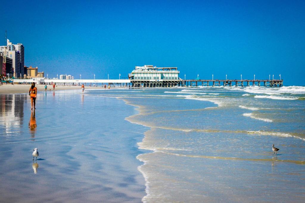Daytona Beach Shores Condos photo 2