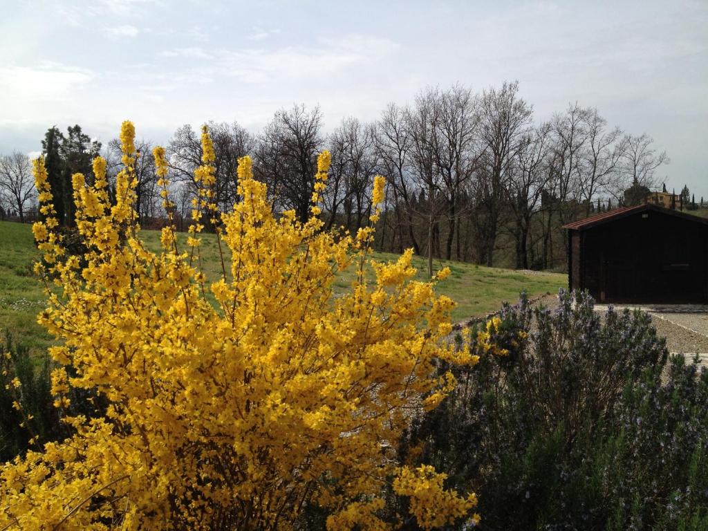 Agriturismo Le Docce photo 3
