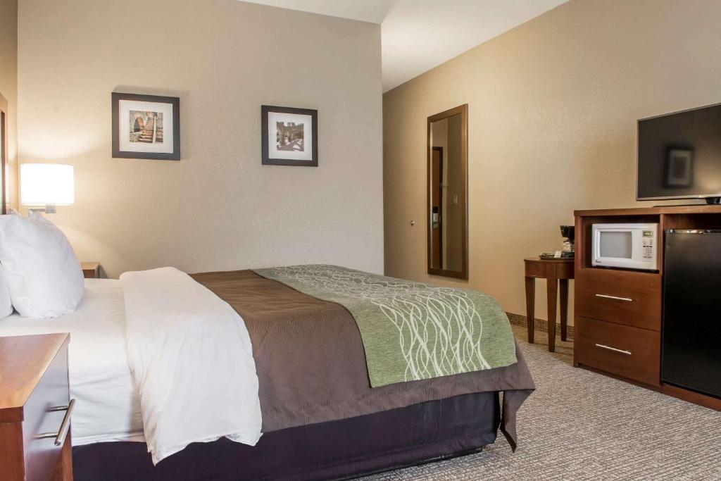 Comfort Inn Edinburg South image