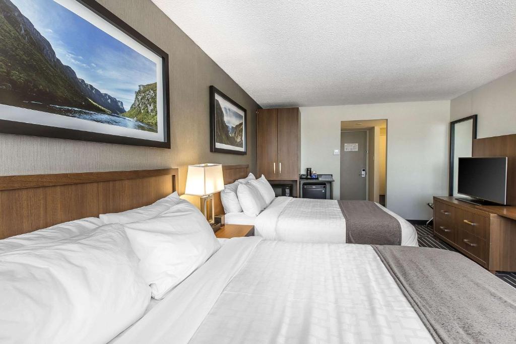 Quality Inn Corner Brook photo 3