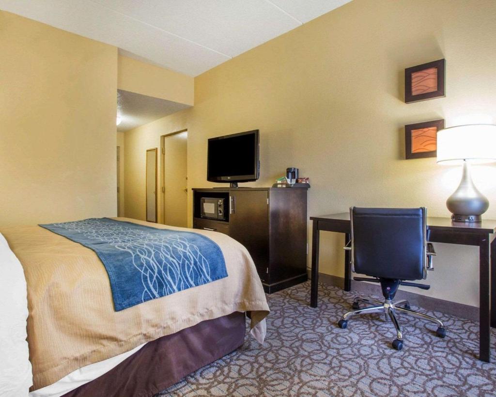 Comfort Inn & Suites at Stone Mountain photo 1