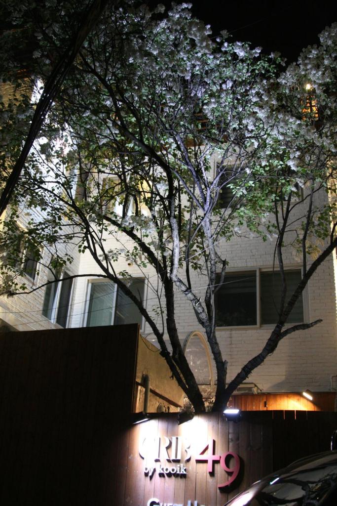 Crib 49 Guesthouse - Foreigner only photo 3