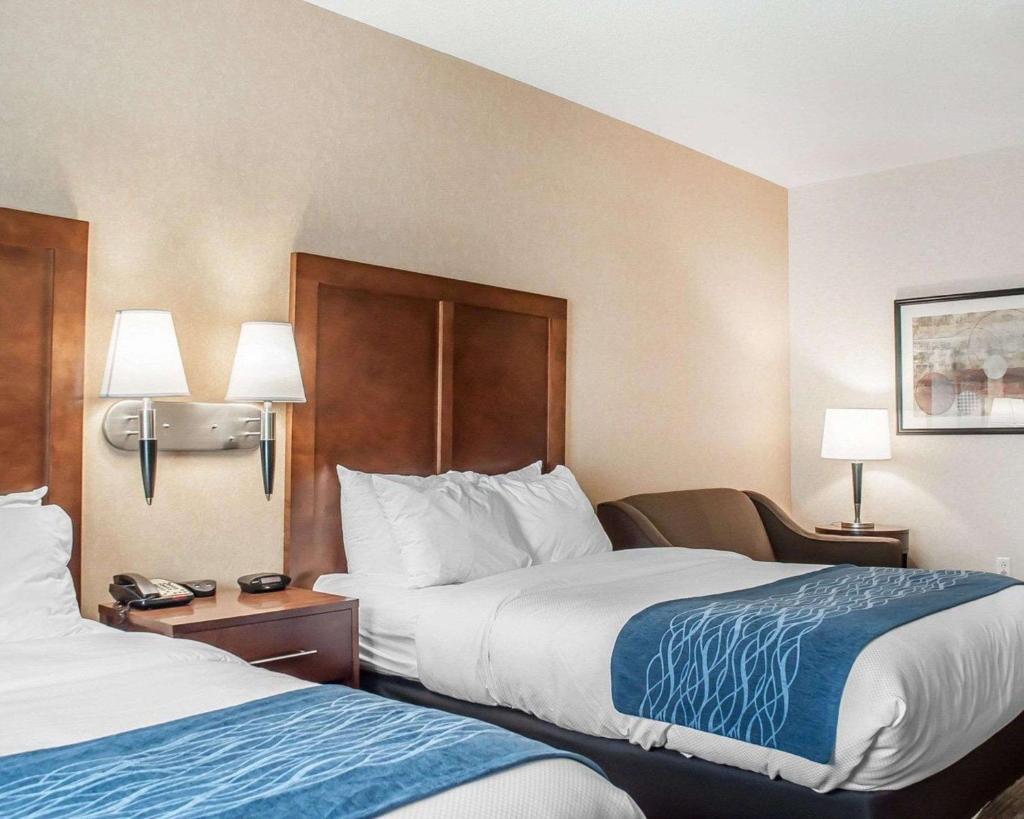 Comfort Inn And Suites Hamburg image