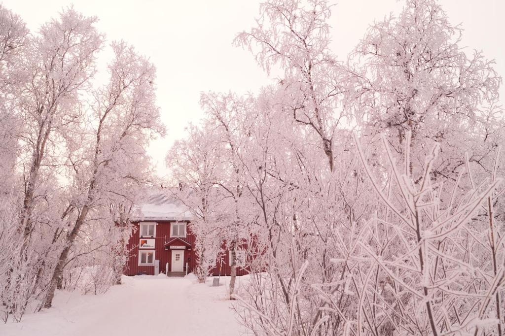 Abisko net Hostel & Huskies photo 1