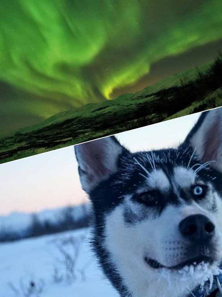 Abisko net Hostel & Huskies photo 3