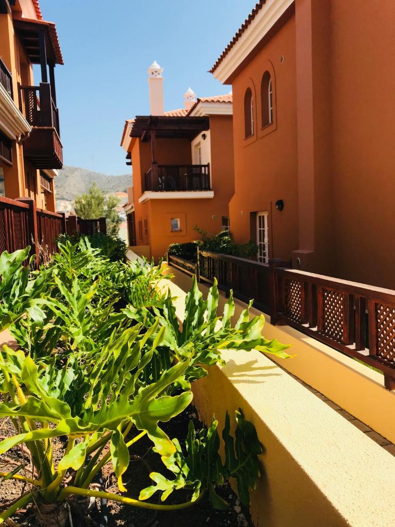 La Casa Canaria photo 4