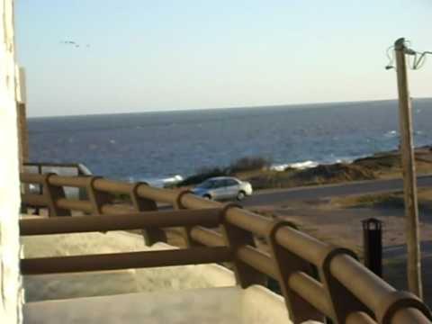 PLACHIS photo 1