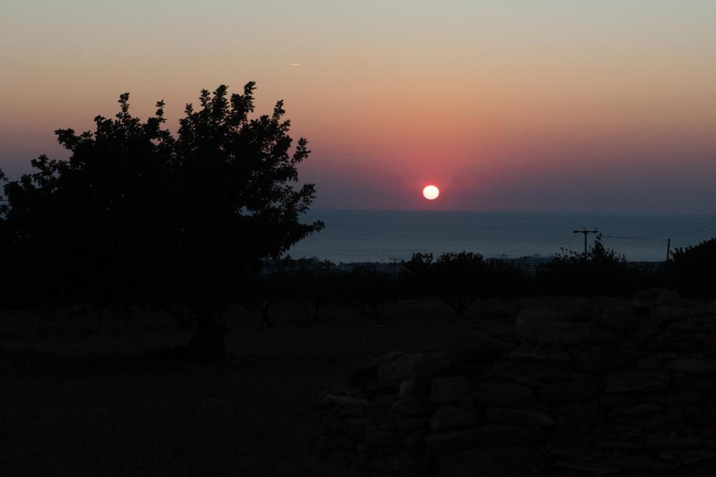 Adonis Villa photo 4