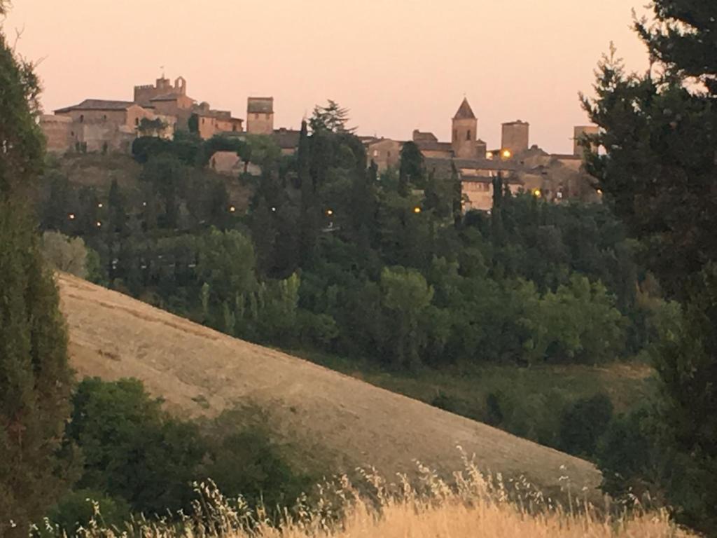 Casa nella campagna di San Gimignano photo 4