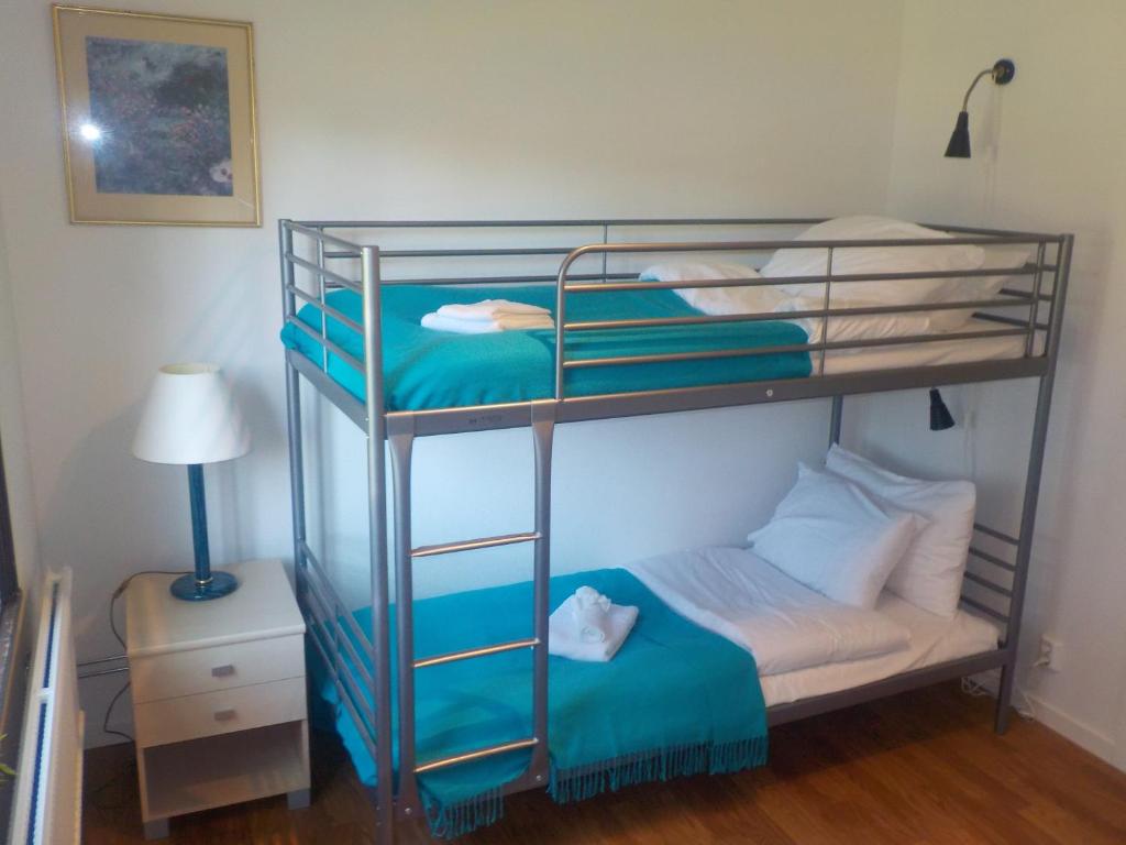 Hagfors Hostel photo 1