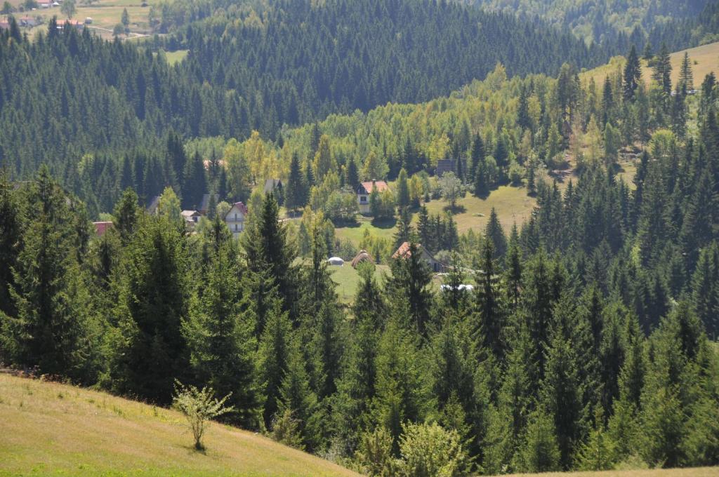 Vila Jelena Zlatar Nova varoš photo 2