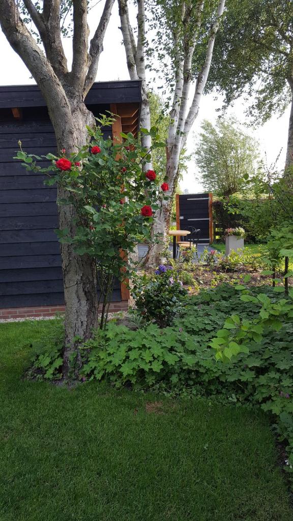 Chalet photo 2