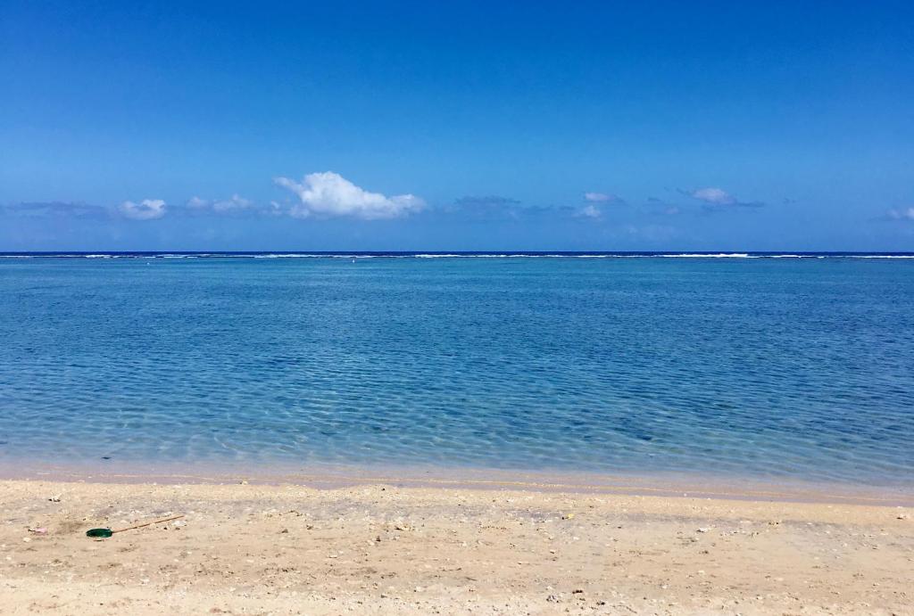 Escale Tropicale, appart vue mer à 2 min du lagon photo 4
