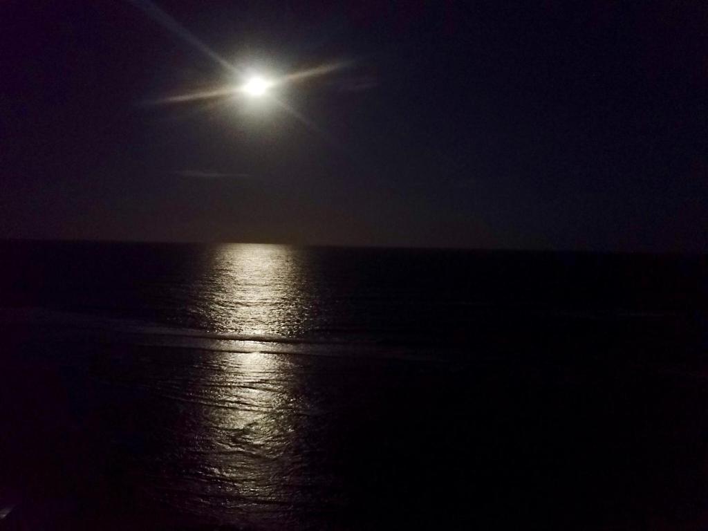 Paraiso dos Corais photo 2