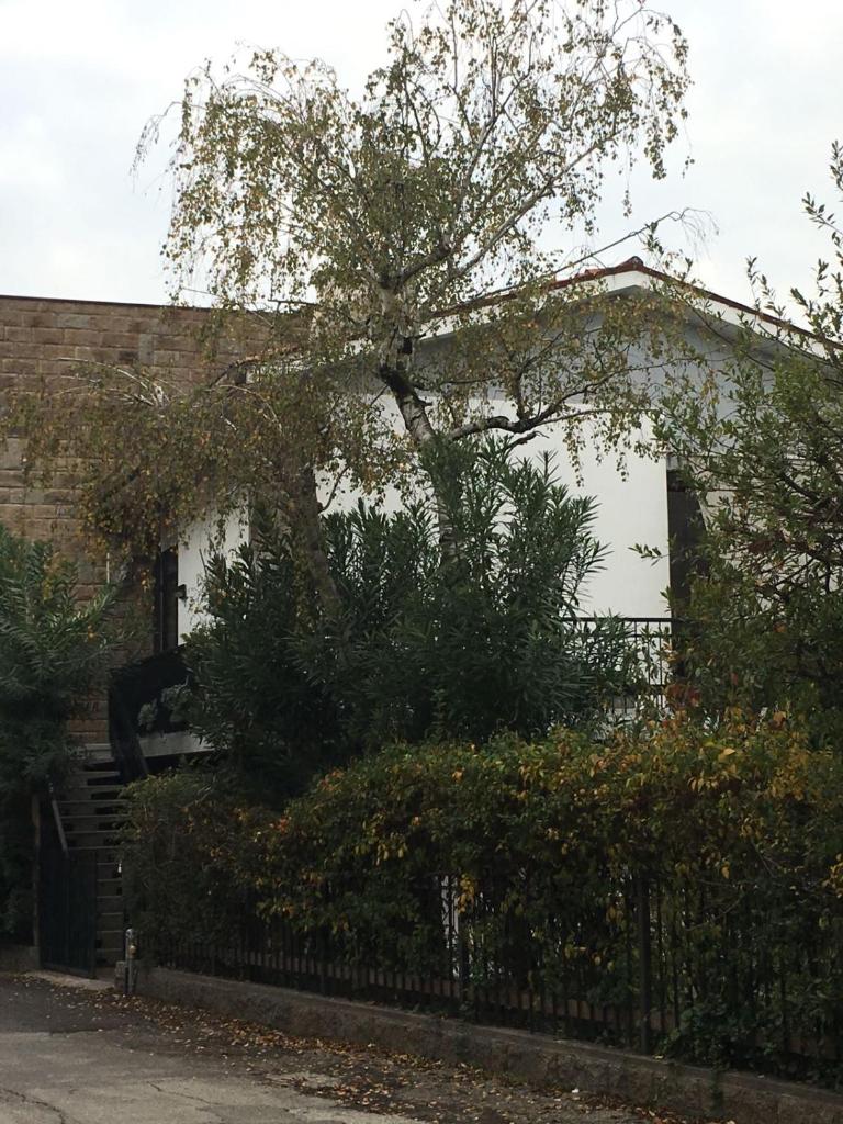 Alla Rotonda dai Santi photo 3
