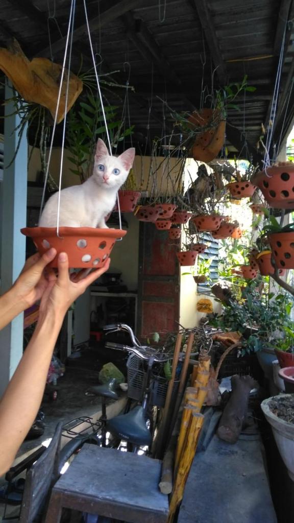 Huế Happy Homestay