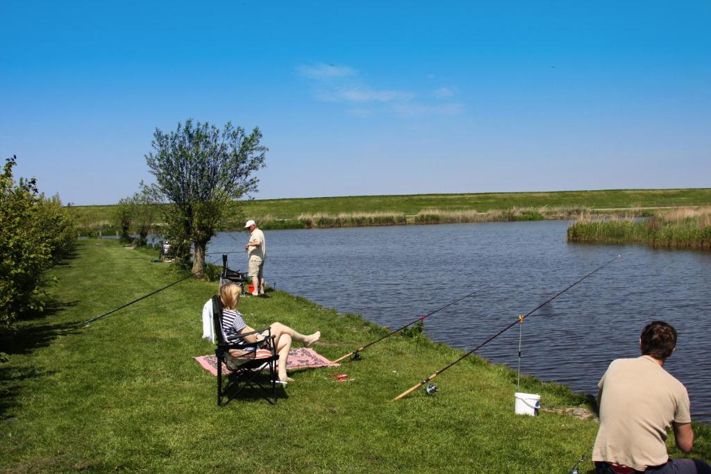 Friesland-cottage photo 2