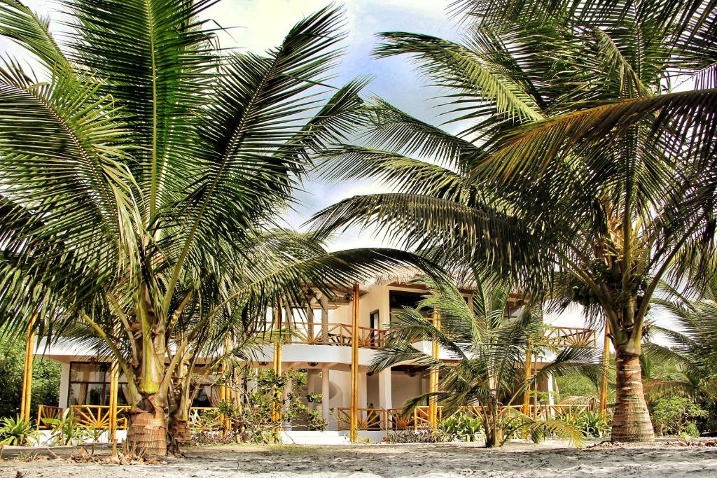 Seaside Garden Ecolodge Mompiche photo 1