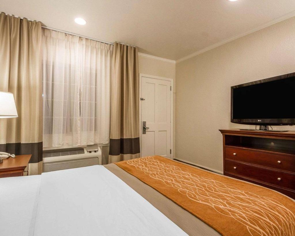 Blu Pacific Hotel photo 2