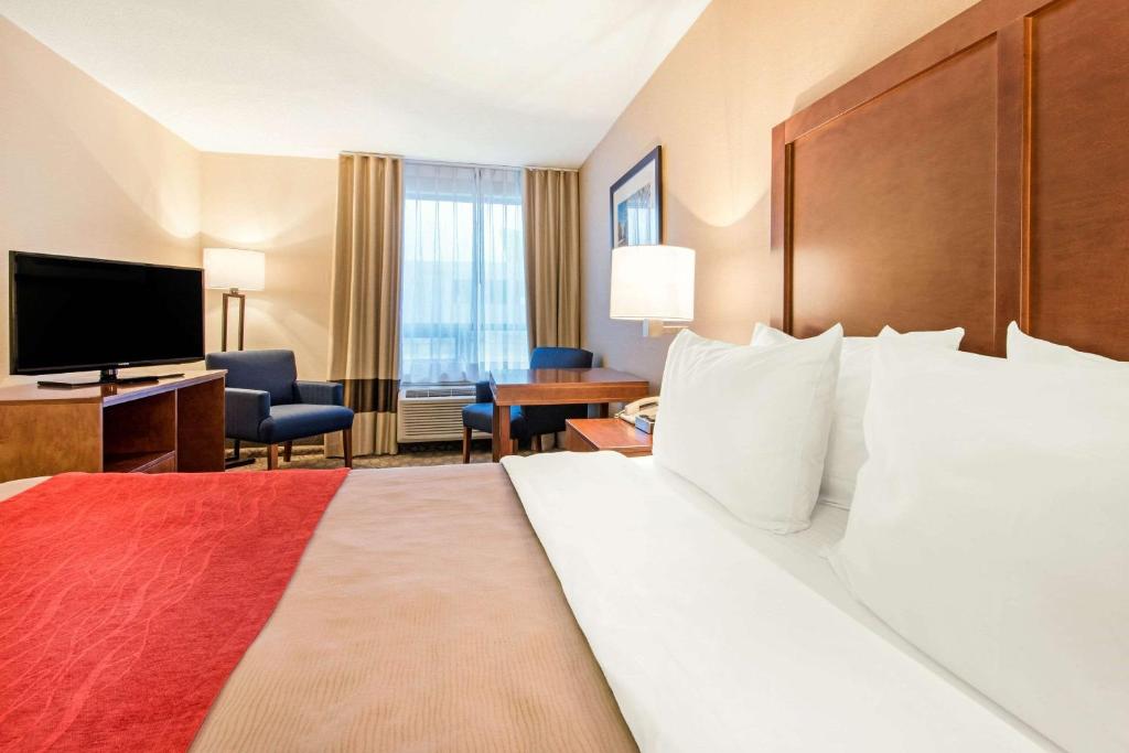 Comfort Inn Fallsview Room Type - Queen Room