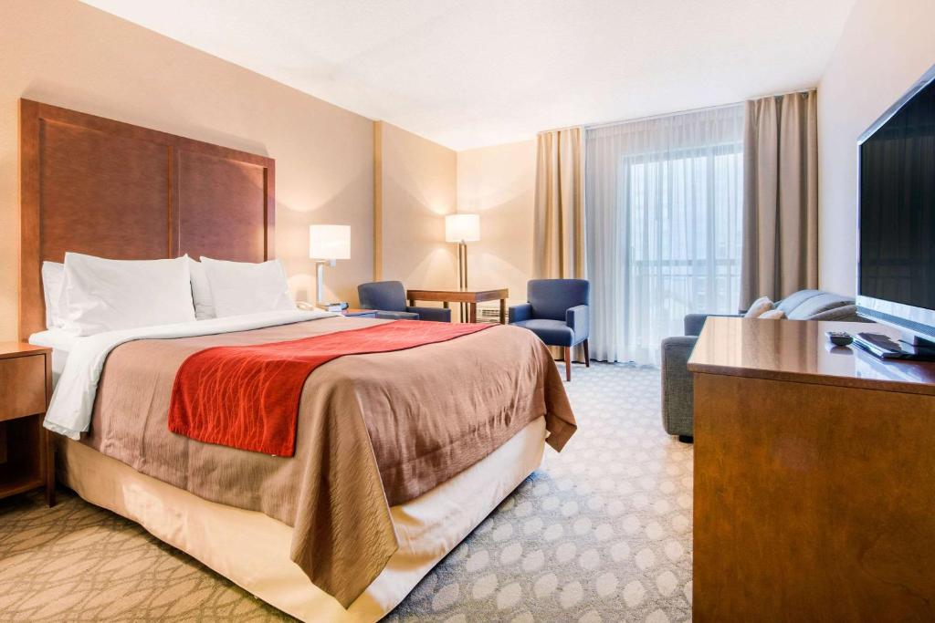 Comfort Inn Fallsview Room Type - Queen Room with Sofa Bed