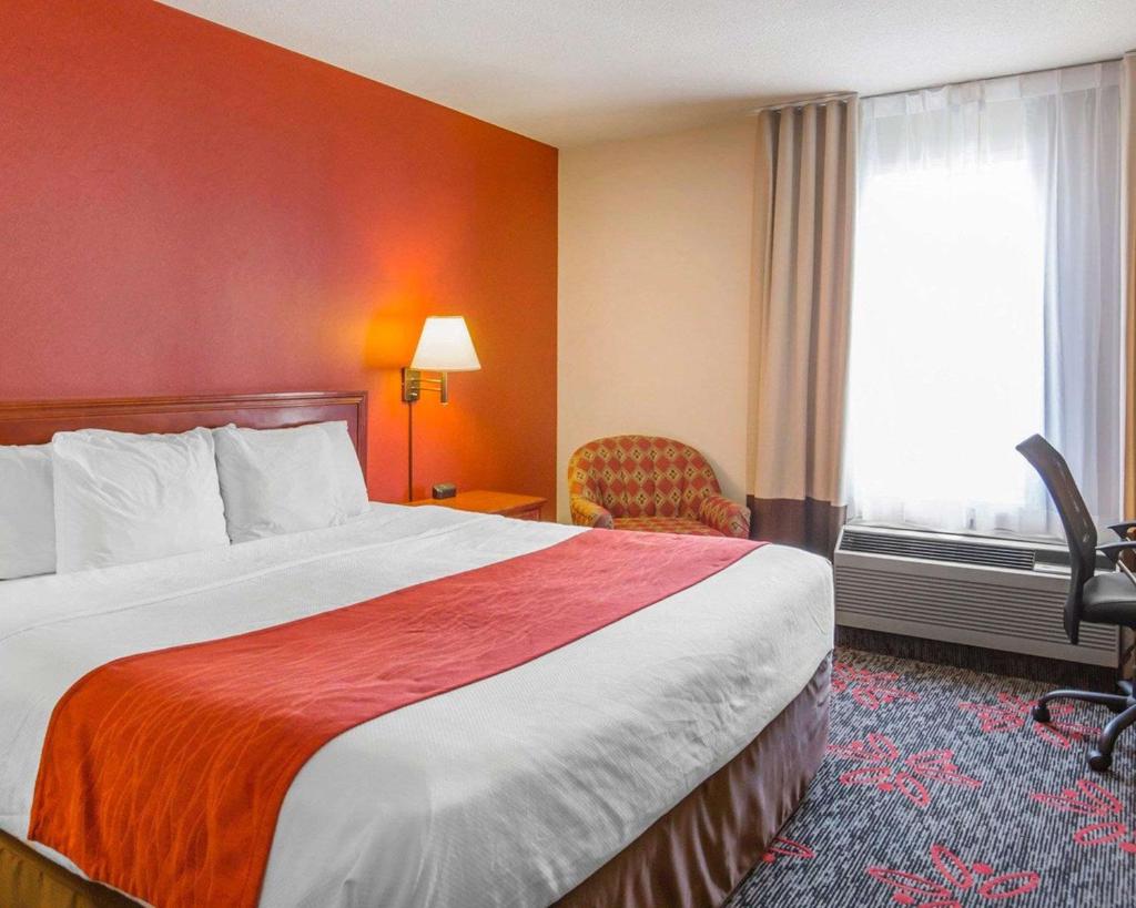Comfort Inn & Suites University photo 4