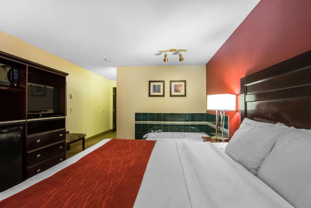 Comfort Inn & Suites Airport South photo 2